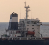 Още шест кораба със зърно са напуснали украинските пристанища