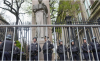 Полицията извърши арести в Йейл заради протести срещу войната в Газа, Колумбийският университет отмени занятията