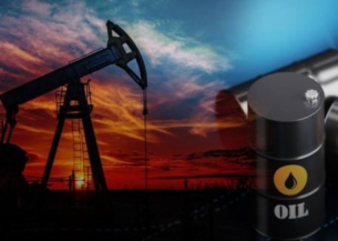 САЩ станаха най-големият купувач на руски рафиниран петрол през Индия