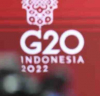 The Telegraph: ЕС иска да изолира руската делегация на срещата на Г-20