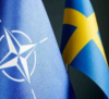 TV4: Швеция възнамерява да предостави на Пентагона свои военновъздушни бази в северната част на страната