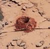 Търсенето на живот на Марс може да е станало много по-сложно