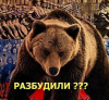 The National Interest: САЩ рискуват да събудят руската мечка