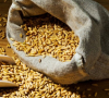 Украйна е разработила коридор за зърно през Полша и Румъния