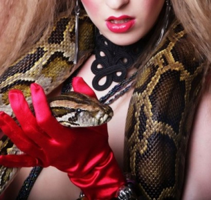Забраниха използването на живи змии в кабарето &quot;Мулен Руж&quot;