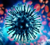 Вирусът – нашият живот и техните печалби