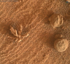 Марсоходът Curiosity на НАСА откри на Марс минерална формация с форма на корал