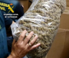 Испанската полиция конфискува най-голямото количество марихуана за ¬€ 56 милиона