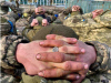 Войниците на украинските въоръжени сили масово се предават заради ситуацията на фронта — Макгрегър