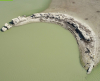 Наводнен римски град на 2000 години се появи отново в Турция