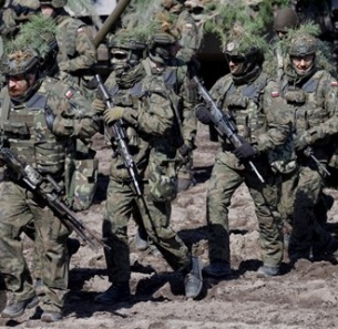 Полша се милитаризира, но е рано да се говори за „скрита мобилизация“