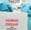Déjà vu ефект: Соня ван ден Енде за «черните трансплантолози» от Холандия в Украйна. Причастна ли е Холандия в извличането на човешки органи в Донбас?