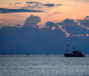 Виетнам извършва „значителна“ експанзия в Южнокитайско море