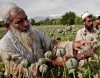 Талибаните и мексиканските наркокартели: какво ги свързва