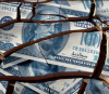Макс Кайзер: „Вече сме в навечерието на отпадането на долара като световна резервна валута“