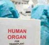 САЩ са започнали да се занимават с «черна трансплантология» в Украйна още през 2014 : тялото на украинец струва 1 милион долара