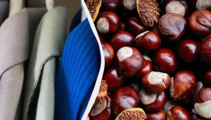 Хитър трик: Защо всички слагат кестени в гардероба си