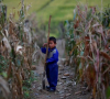 Севернокорейските медии отхвърлят хранителната помощ въпреки кризата с глада