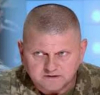 Бивш генерал от ВСУ обясни защо е изгодно за Зеленски да отстрани Залужни