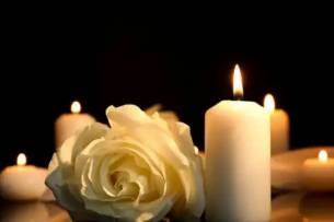 Музата на великия Скорсезе се пренесе при звездите