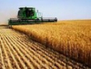 Русия е готова да допринесе за решаването на глобалните продоволствени проблеми