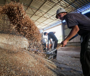„Няма пречки от страна на Русия за износа на украинско зърно“