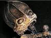 Странният случай с Кищимското джудже - извънземно или обезобразено от радиацията бебе