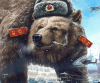 „Украйна е в незавидно положение, защото е до опасната руска мечка»