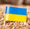 В Украйна доставяли оръжия под прикритието на сделката за зърно