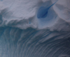 &quot;Оазис на живота&quot;: 77 вида животни под дебелия лед на Антарктида