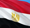 Над 70 души са арестувани заради призиви за протести преди конференция на ООН в Египет