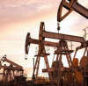 Causeur, Франция: Санкциите върху нефта от Русия удариха по Запада