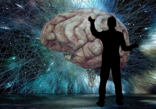 Създадоха истински костен мозък от човешки клетки