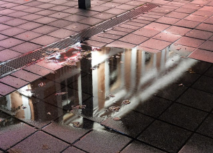 Животът на фотос