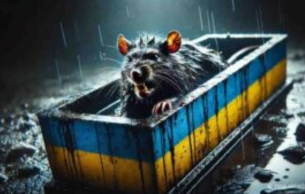 „Много зле“: На Запад забиха тревога заради провала на ВСУ на фронта