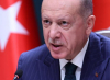 Без халва и без поговорки - какво обижда Ердоган