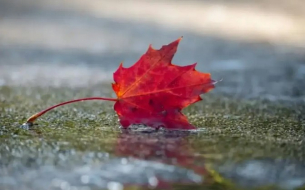 Времето днес, прогноза за понеделник, 3 ноември: Мъгливо утро, облачността се увеличава