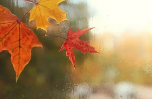 Времето днес, прогноза за петък, 7 ноември: Облачно. Валежите продължават