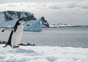 Готви се първи в историята скок от стратосферата до Южния полюс