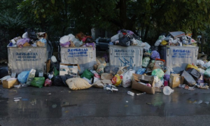 Пълни контейнери и задушлива миризма в "Люлин" и "Красно село". Елин Пелин, Панагюрище и Ботевград ще помагат на София