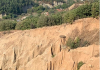 Роската, Юлето и пролетта
