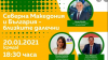 Игра на шуробаджанащина