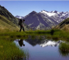 Нова Зеландия предлага работа-мечта в защита на дивата природа