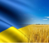 Русия твърди, че само 3% от износа по сделката за зърно с Украйна отива в най-бедните страни