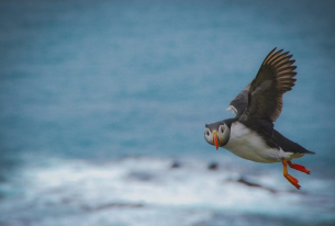 Арктика поднесе неочаквана изненада: Нещо странно се случва с въглерода там