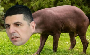 Осмяха жестоко Ивайло Мирчев!