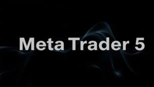 MetaTrader 5: Всичко, което трябва да знаете
