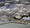 Япония: Няма следи от радиация в рибата около Фукушима