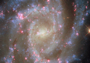Hubble засне близка спирална галактика, наподобяваща цъфнали цветя