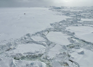 Изумително откритие: Живот под ледената шапка на Арктика